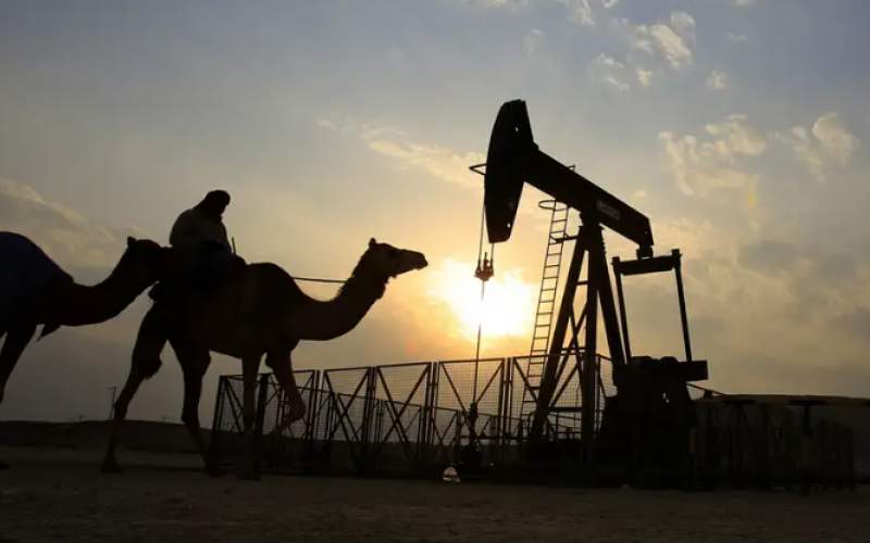 اوپک وارد جنگ قیمت نفت می‌شود