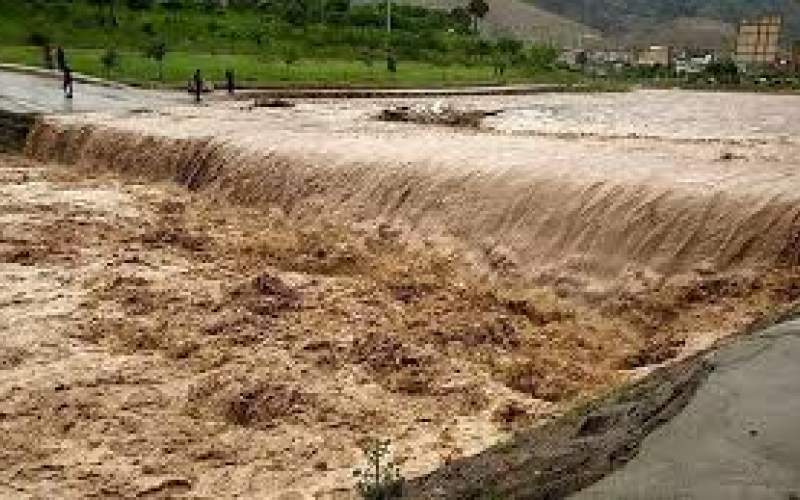 جزییات خسارت تگرگ به باغات شمال غرب کشور