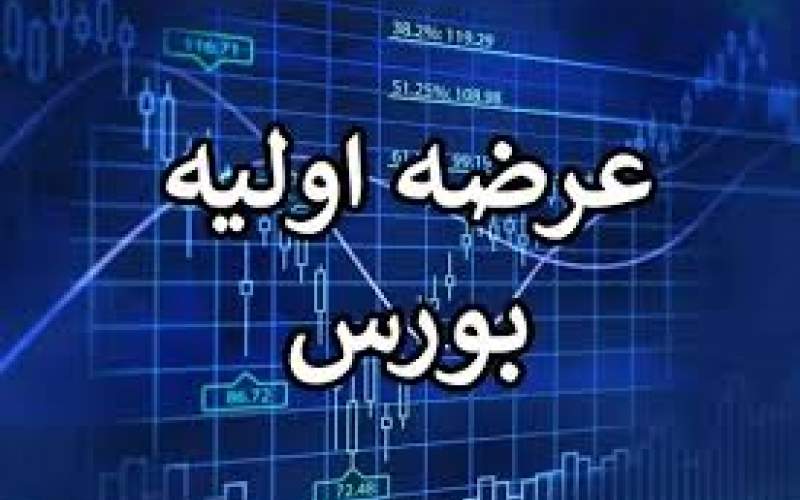 چند عرضه اولیه در بازار سرمایه انجام شد؟