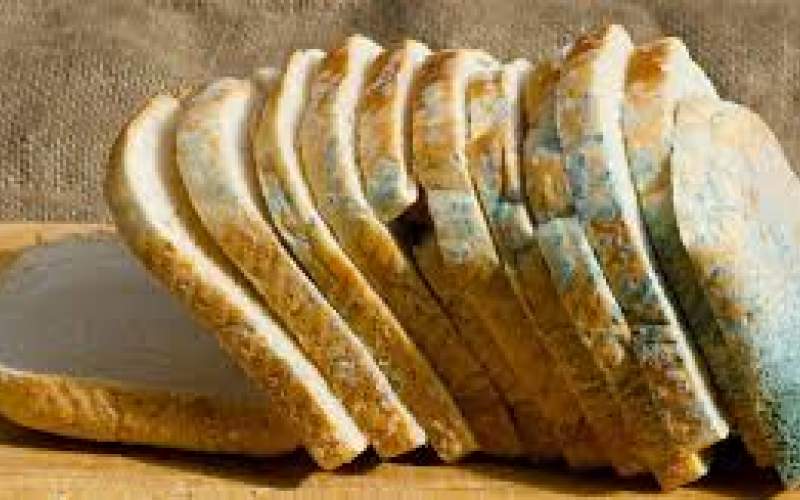 تمام مواد غذایی کپک‌زده را دور بریزید؛ هیچ قسمتی را نخورید