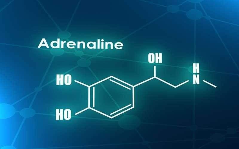آدرنالین چیست و چگونه تولید می‌شود؟