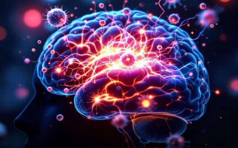 سیستم ایمنی باعث ایجاد ترس می‌شود
