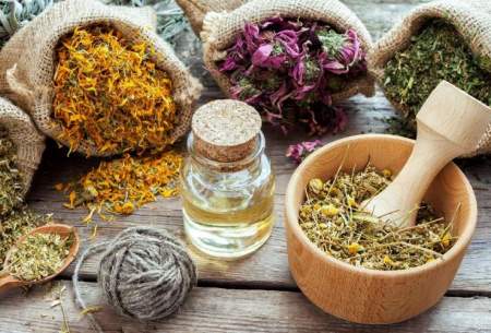 نسخه گیاهی برای ریزش مو؛ آیا واقعاً موثرند؟