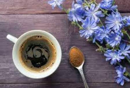 این گیاه دارویی کبدتان را نجات می‌دهد