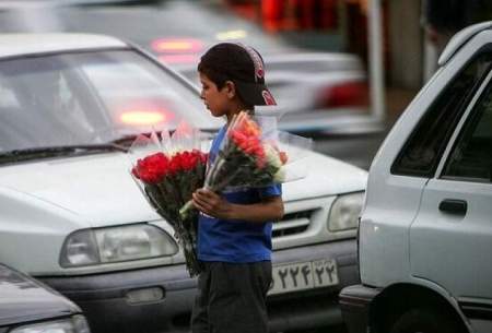 بهزیستی:۸۵ درصد کودکان کار از اتباع هستند