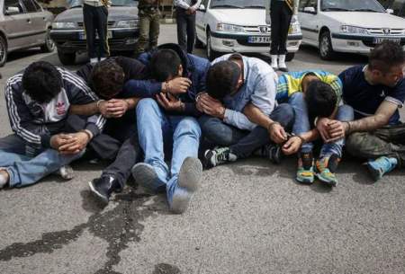 اعترافات عجیب سارقین کت و شلواری