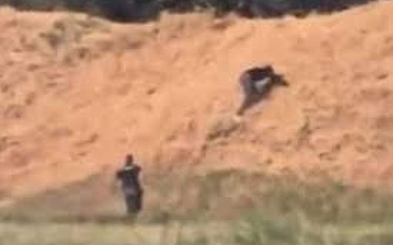 فرار مرد ۲۹ ساله از دست پلیس روی باند فرودگاه!