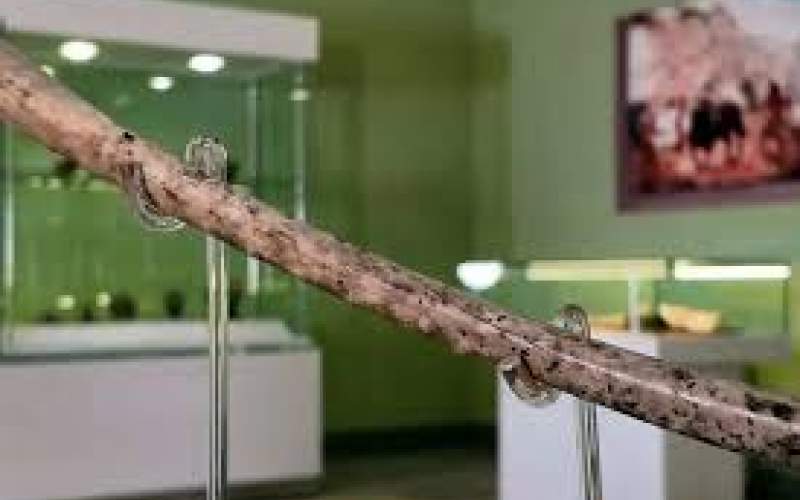 نمایش فلوت استخوانی ۸ هزار ساله در موزه ملی