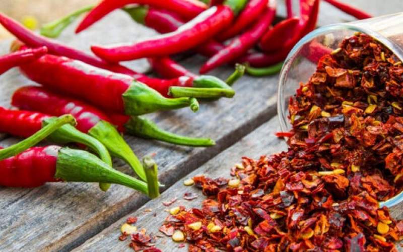 تاثیر ماده موثر فلفل تند بر رده‌های سلولی سرطان روده
