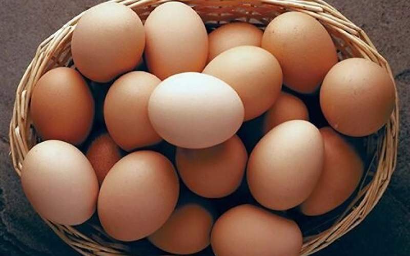 قیمت تخم‌مرغ به شدت کاهش یافت