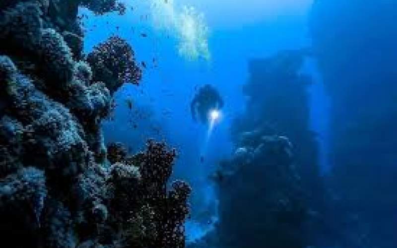 چرا اقیانوس‌ها تاریک‌تر شده‌اند؟