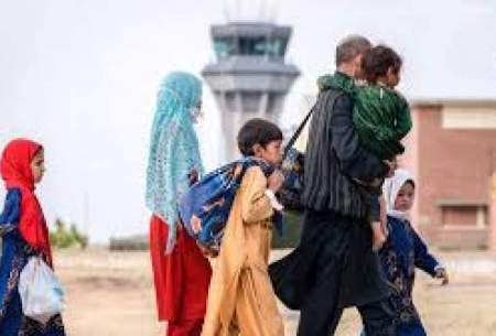 ویدیوی دختر بلاگر افغان از مسیر بازگشت به وطن