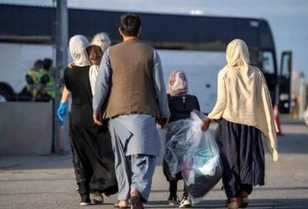 اخراج افغان‌ها باعث کاهش قیمت مسکن می‌شود؟