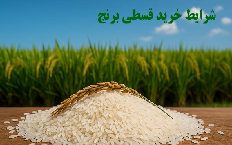 شرایط خرید قسطی برنج شمال