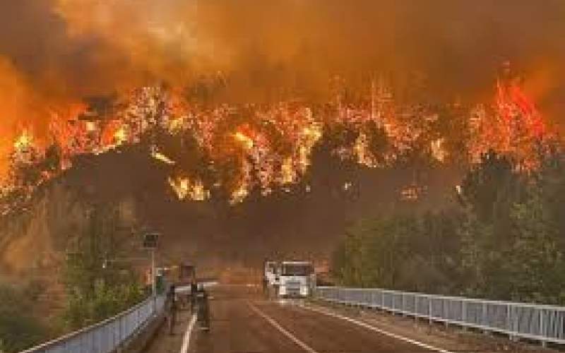 آتش‌سوزی در مناطق جنگلی شمال‌غرب ترکیه