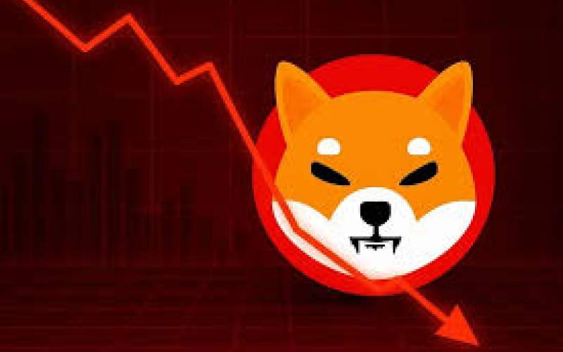 رمزارز محبوب ایرانی‌ها نابود می‌شود؟