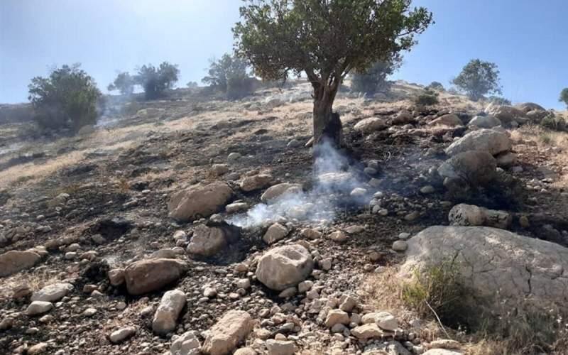 مهار آتش سوزی کوه سیاه پس از ۳ روز