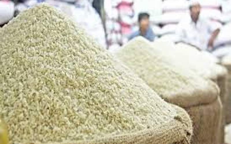 ثبت‌سفارش برنج از هفته آینده آغاز می‌شود