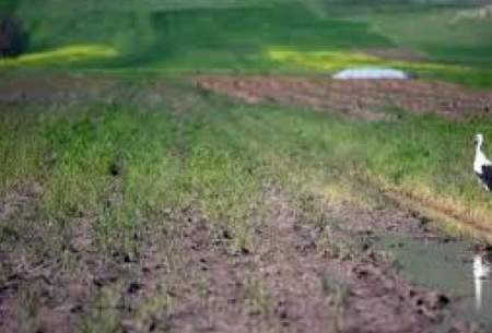 نابودی سریالی تالاب ها، نوبت به تالاب هشیلان رسید