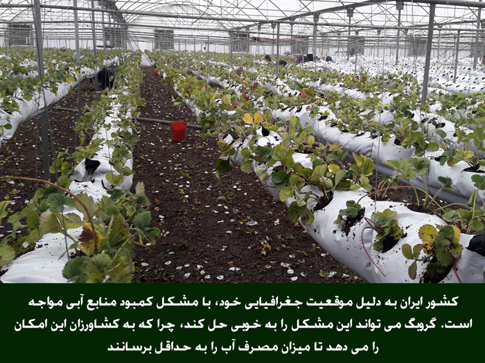 درباره گروبگ و 10 روش دور زدن تحریم های اقتصادی با آن