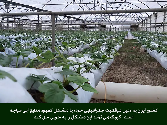 10 روش دور زدن تحریم های اقتصادی با گروبگ Grow Bag
