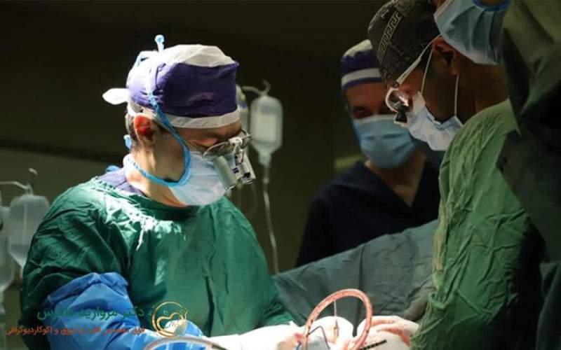 بهترین فوق تخصص قلب کیست؟ راهنمای انتخاب پزشک مطمئن