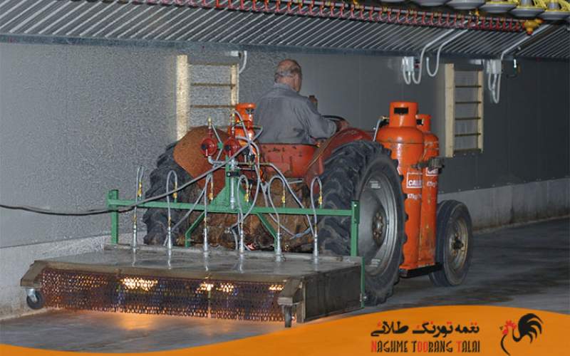 آشنایی با تجهیزات نظافت و ضدعفونی در سالن های مرغداری با تورنگ طلایی