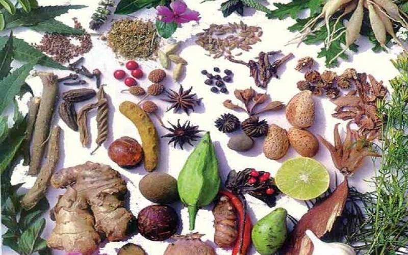 گیاهان دارویی، قاتل چربی خون بالا