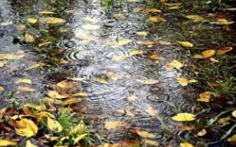تصاویر دل‌انگیز از باران پاییزی در شهر‌های گیلان