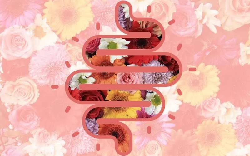 معجزه این مواد غذایی برای سلامت قلب