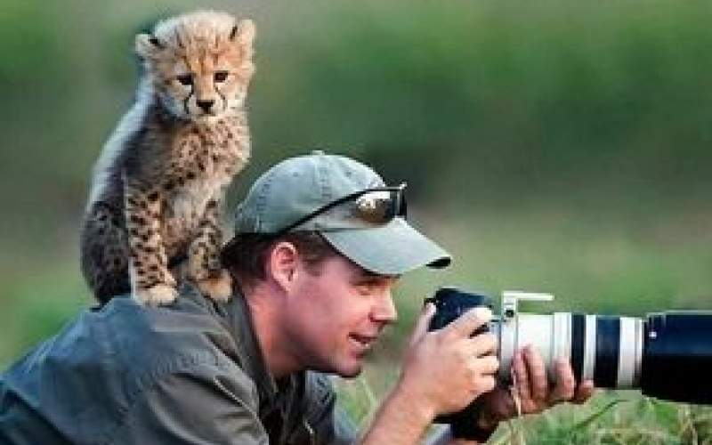وقتی عکاسان با حیات وحش شوخی می‌کنند
