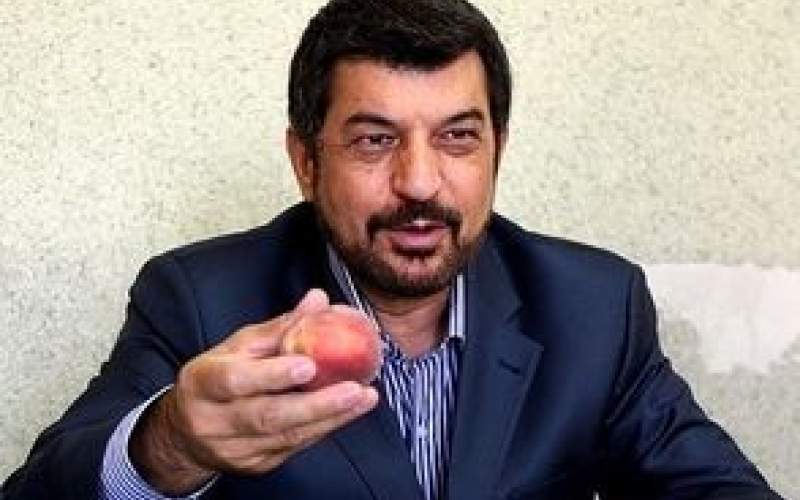 شهریاری: به خاطر کلمه «هلو»، من را ممنوع‌التصویر کردند