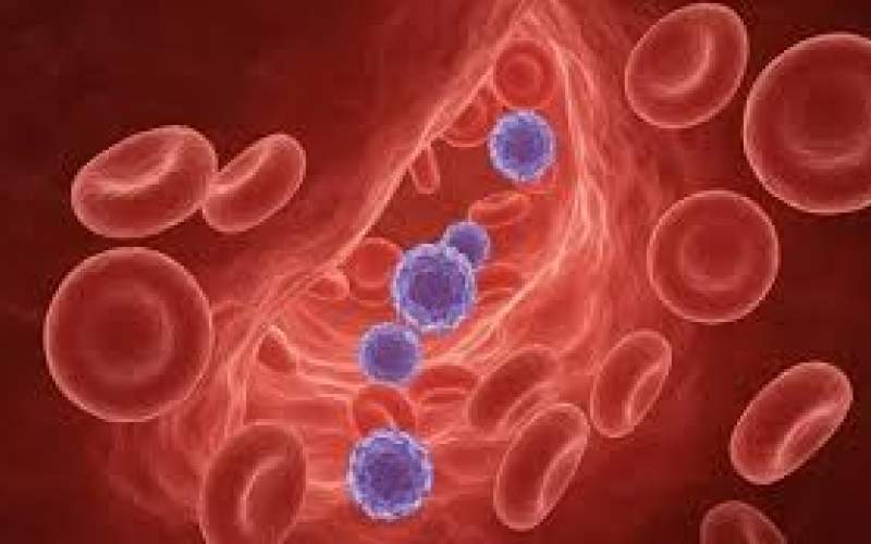 نادرترین گروه خونی جهان بالاخره شناسایی شد