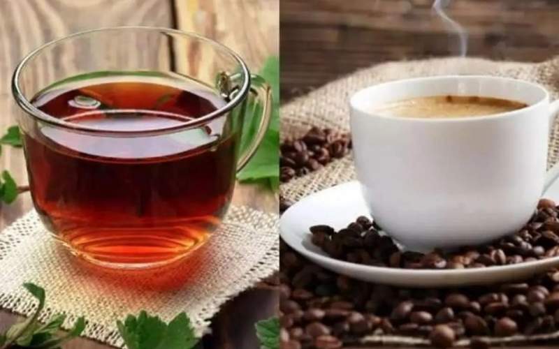 قهوه یا چای؛ کدام یک برای سلامتی بهتر است؟