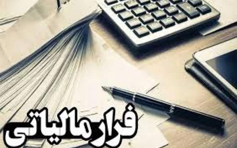 کشف پرونده های بزرگ فرار مالیاتی در 2 استان