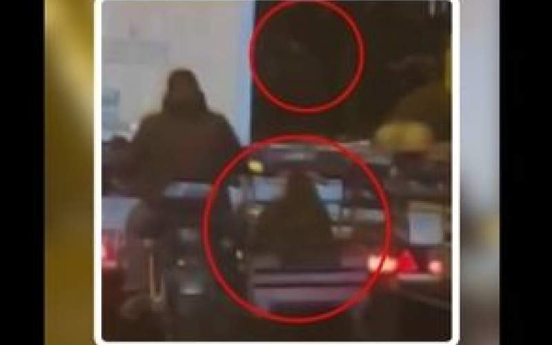 سرقت عجیب گوسفندان از کامیون در حال حرکت