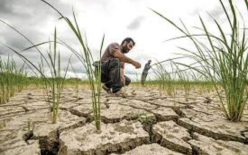 کشاورزی چطور ایران را تشنه‌ کرد؟