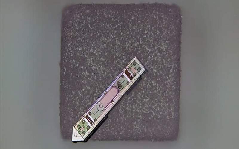 ابداع یک ایمپلنت مغزی کوچک‌تر از یک دانه نمک