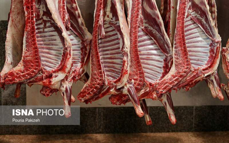 انهدام باند توزیع گوشت غیرمجاز در ابهر