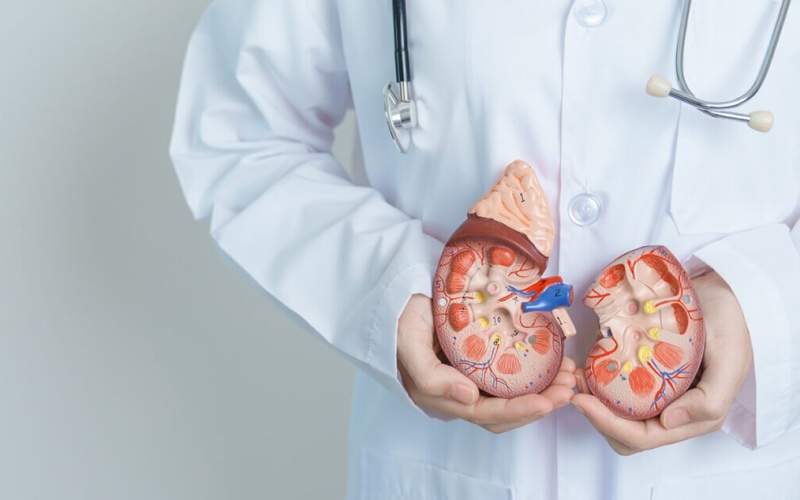 سه‌ بیماری خاص که کلیه‌ها را از کار می‌اندازد