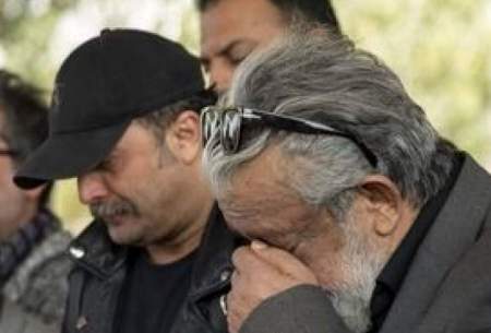 ویدیو از همایون ارشادی و مصطفی زمانی پربازدید شد  