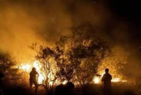 انتقال آب با قاطر و دبه؛ نبرد سنتی با آتش مدرن