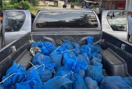 کشف محموله شوکه‌کننده قاچاق در تایلند