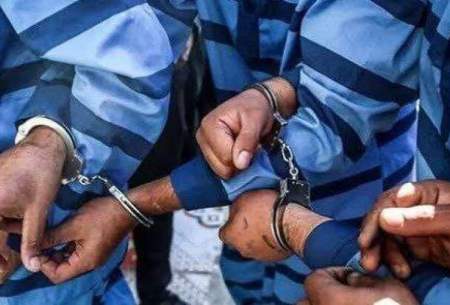 دوستان پسر مالباخته عامل سرقت بودند