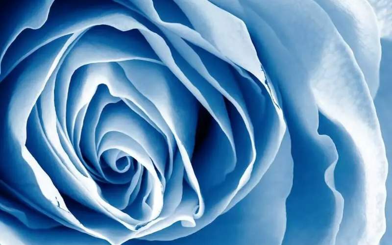 رنگ آبی در روانشناسی به چه معناست؟ - بهار نیوز