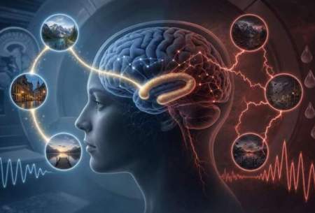 آیا استرس به مغز اجازه یادگیری می‌دهد؟