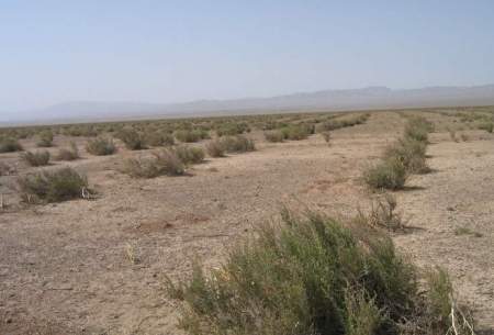 گسترش بیابان‌زایی در هرمزگان؛ زنگ خطر برای ۲۸ کانون فرسایش بادی
