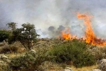 آتش در ارتفاعات کازرون مجدد شعله‌ور شد
