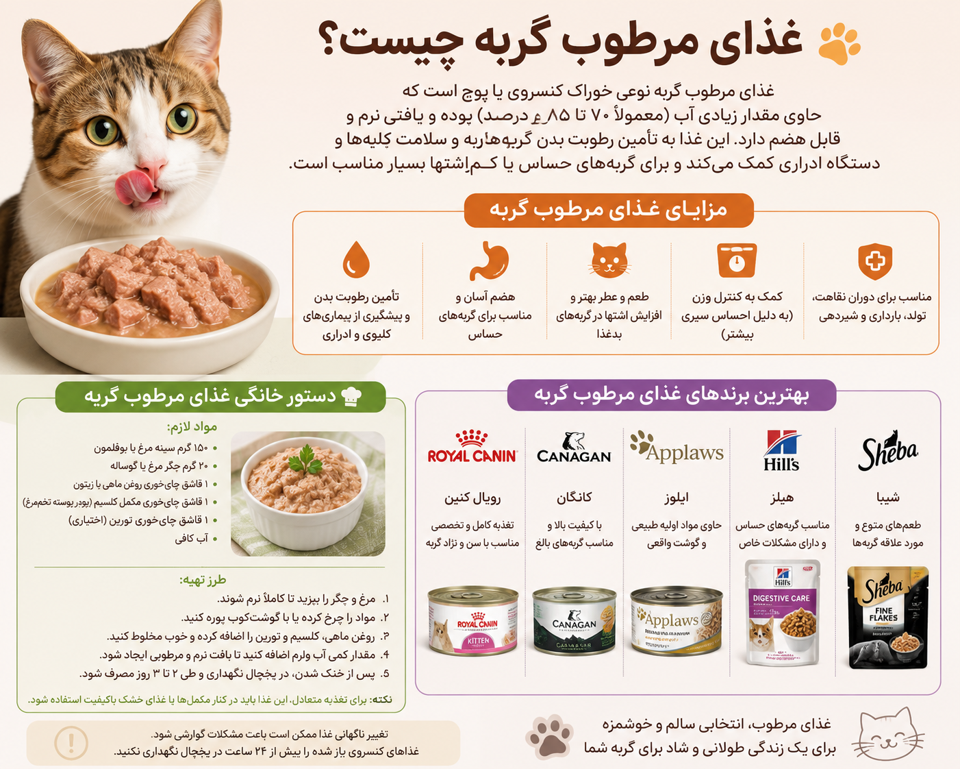همه چیز درباره غذای مرطوب گربه 