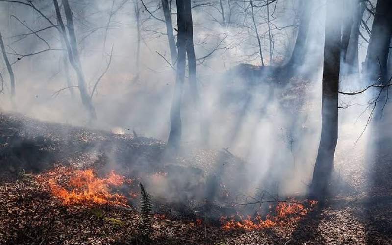 احتمال آتشسوزی جنگلها و مراتع آذربایجانشرقی احتمال آتشسوزی جنگلها و مراتع آذربایجانشرقی